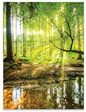 WallArena - Papier peint photo non tissé - forêt 70x100 cm - Papier peint photo - Pour salon et chambre à coucher - Effet 3D - Avec colle - étang, arbres