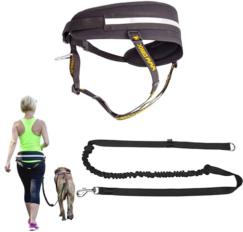 Dingo canicross, vandring, skidåkning och terränglöpare: Höftbälte och handsfree hundkoppel med bungee-stötdämpare och handtag med o-ring för små stora och medelstora hundrashundar Z30004