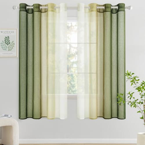 Woaboy Cortina Corta Ventana Translúcida Visillo Dormitorio con Ojales Moderno Decorativas Poliéster Visillos Degradado Gradiente para Habitación Salon 2 Piezas 140x145cm Verde