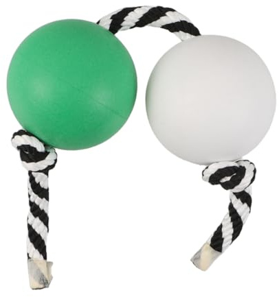 Hoement Asalato Shaker Rythmique Portable Instrument Percussion pour Débutants Musical Traditionnel Africain pour Pratique et Animation