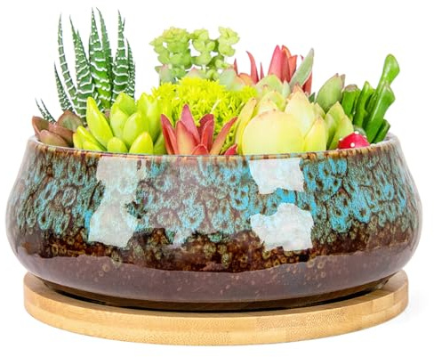 ARTKETTY Vasi per piante grasse, vaso per piante grasse, grandi vasi bonsai con vassoio di drenaggio, fioriere in ceramica per piante da interno ed esterno, contenitore rotondo poco profondo per fiori