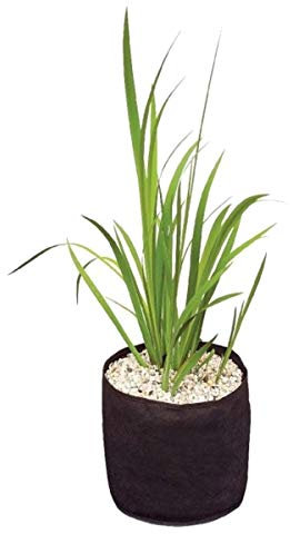 Velda Plant Basket 15 x 15 cm (50)