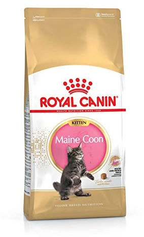 Royal Canin Maine Coon Kitten | 400 g | Croquettes pour Chats | Spécialement conçu pour Les Chatons Maine Coon | pour Soutenir la Digestion et Le système immunitaire