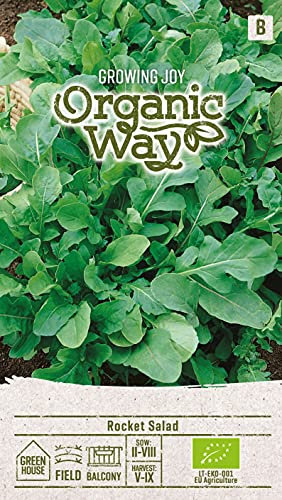 Organic Way | BASILICO DOLCE ITALIANO CLASSICO da semi | Semi di fiori | 1 confezione