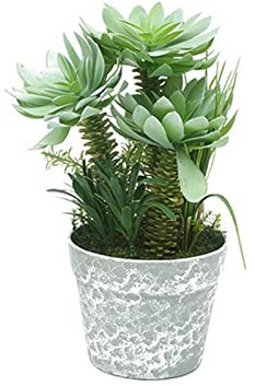 AITEKODVG Künstliche Pflanzen Künstliche Sukkulenten für den Innenbereich, tropischer Baum, künstlicher Baum, Bonsai, Mini-Agave, im Topf, für Zuhause, Schreibtisch, Regal, Veranda, Dekor, künstliche