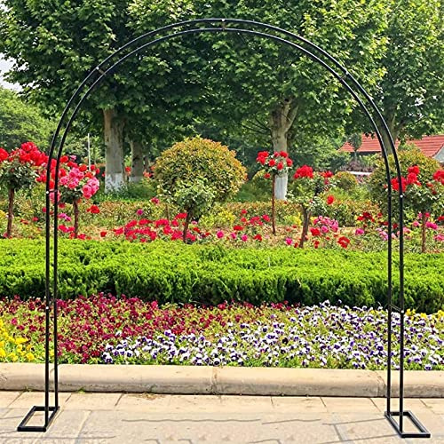 Grande arche de jardin en aluminium pour plantes grimpantes, arche de rose en métal, parfaite pour concombres, vignes et légumes 350 x 220 x 40 cm – Design élégant