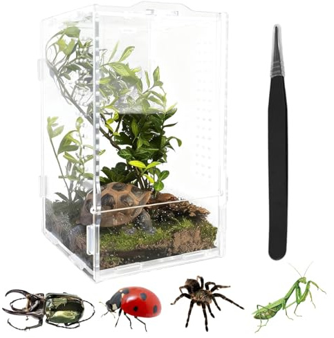 Acryl Terrarium Komplettset mit Futterpinzette und Pipette für Kleintiere | Geeignet für Springspinnen, Schnecken, Reptilien und Insekten. Kann als Faunarium zur Haltung verwendet werden.