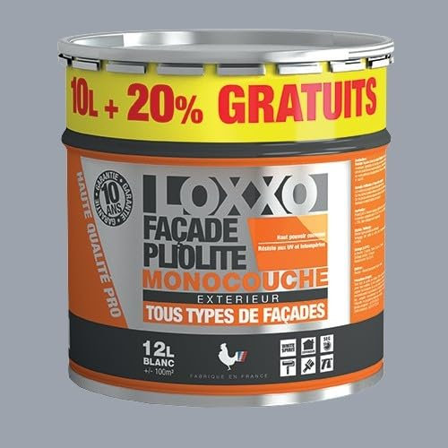LOXXO Peinture Façade Pliolite 12L Gris ciment RAL 7040 12 L