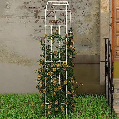 Arche de jardin en métal pour plantes grimpantes - Blanc - Arche de jardin pour vignes - Hauteur de l'arche de 250 cm