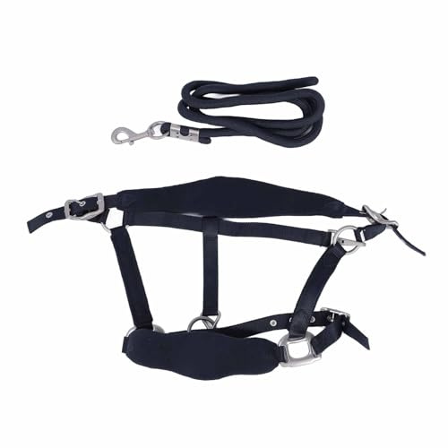 CAGUYLONA Set Cavezza Regolabile per addestramento Cavallo, Cavezza Morbida Imbottita con guinzaglio da 2 m, Design Confortevole Anti sfregamento per Passeggiate e allenamenti quotidiani, (S)