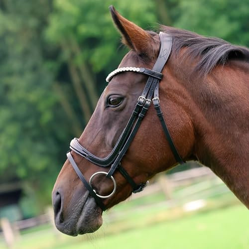 Heinick Trense Zaumhaken Fenja Schwarz Lack Schnellwechselsystem ~ Warmblut ~