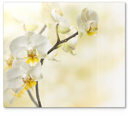 DEQORI Herdabdeckplatte Glas | einteilig 60x52 cm | Motiv Orchideenzauber | Ceranfeld Abdeckplatte für Küche | Herd-Abdeckung universal | Glasplatte & Schneidebrett für Kochplatten