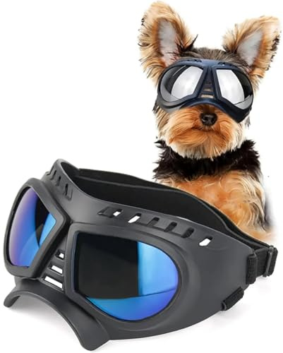 Hundglasögon, retro hundglasögon hundsolglasögon för små raser, hundglasögon, UV-skydd, vindruta (blå lins)