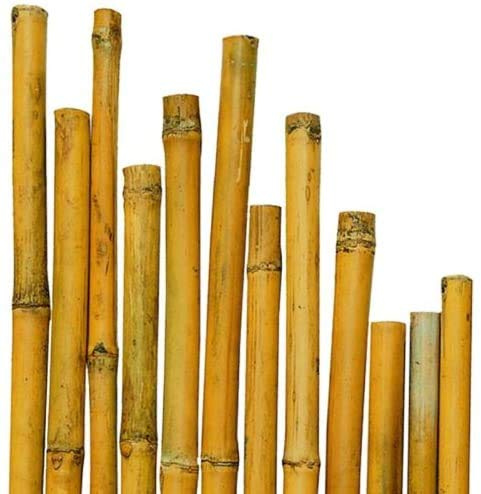 VERDELOOK Canne in Bamboo per Sostegno Ortaggi e Altri Usa da 210 cm in Confezione da 25 Canne