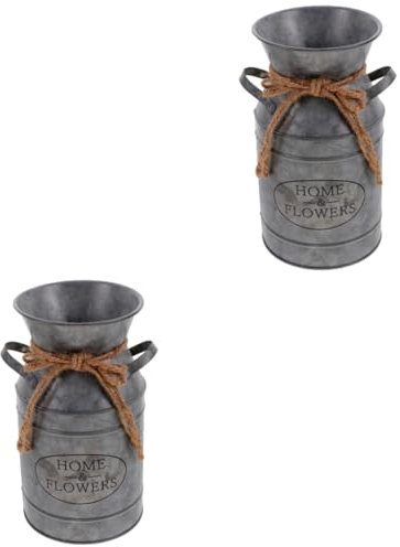 Cabilock 2 Pièces Pot De Fleur en Étain Pot À Lait Vase À Fleurs Vase À Lait Vintage Cruches À RS Rustiques Cruches Galvanisées pour RS Décorations pour La Maison Seau À