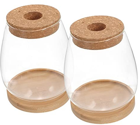 Happyyami 1satz Terrarium Für Mikrolandschaft Große Ovale Wasserpflanzenflaschen Mit Für Blumen Moos Und Pflanzen Wohnräumen Und Cafés