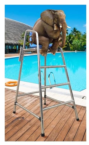 Sedie da Bagnino, sedie da Bagnino Portatili per Spiaggia e Piscina - Acciaio Inossidabile 304, autoportanti e Staccabili, Ideali per parchi Acquatici, moli, arbitri di Tennis e pallavolo, s