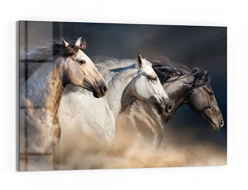 DEQORI Glas-Magnettafel | 60x40 cm groß | Motiv Pferde-Trio im Galopp | Memo-Board aus Glas | Magnetboard inkl. Magnete, Stift & Tuch für Küche & Büro | Tafel magnetisch & beschreibbar