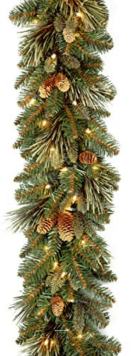 National Tree Company 9 ft Pre-Lit Carolina Pine Artificial Christmas Garland, Christmas Decoration with Pinecones, 100 Warm White LED Lights, 240 Tips, Timer, Green