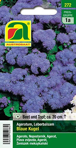 Leberbalsam, Blaue Kugel