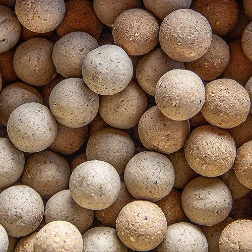 SBS Baits 10kg Eurobase Boilies 20 mm Garlic Knoblauch Futter Karpfen Köder Angeln