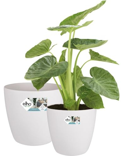 Elho Brussels Rond Roues - Grands Pots de Fleurs pour l'Intérieur - Plastique 100% Recyclé - Lot de 2 - Ø 35, 40 cm - Blanc/Blanc