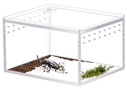 Mini Terrarium Transportbox, Futterbox für Reptilien, Ausziehbares Acryl Terrarium mit Seitlichen Belüftungslöchern für Reptilien, Schnecken, Frösche, Käfer