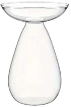 Ujjdwiurgh Vaso di fiori per albero di avocado, trasparente, stazione di propagazione idroponica, in vetro, per coltivare fioriere, 1 pezzo