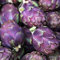 25 Graines Artichaut Violet