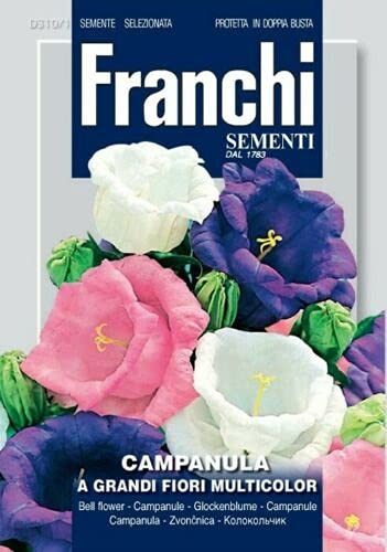 Semi Campanula a Grandi Fiori Franchi Sementi 2g