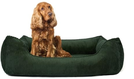 PAW WOW Anton Hundebett | Orthopädisches Hundebett | Hundekörbchen für mittelgroße und große Hunde (Olive, 105x75cm)