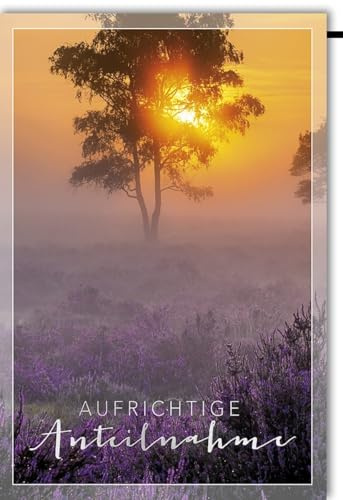 Verlag Dominique Kondolenzkarte Beileidskarte Trauerkarte Aufrichtige Anteilnahme Motiv Sonnenuntergang Baum lila Blumen Wiese mit Umschlag