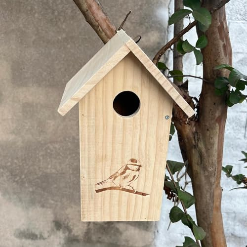 Nichoir à oiseaux à peindre avec tube en métal, bois épais, kit de construction, nichoir pour oiseaux pour extérieur résistant aux intempéries, nichoir pour hirondelle, troglodyte, poussins (jaune, 1
