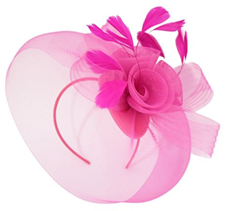 Caprilite Hot Pink Fuchsia Fascinator Headband Veil Wedding Ascot Races Net Hat Feathers Hatinator, One Size