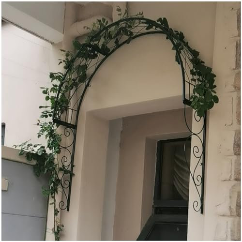 Arche de rose murale en fer forgé pour plantes grimpantes et fleurs - Tonnelle de jardin pour fenêtres, portes et entrées - Vert - 105 x 21 x 105 cm