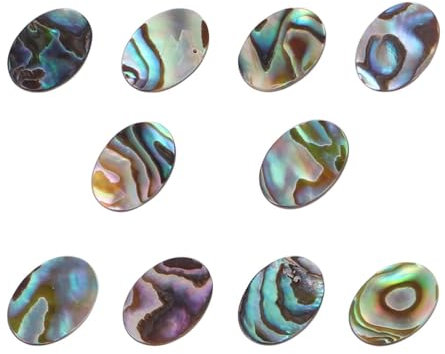 DOITOOL Accessoires Bijoux en Coquillage Ovale 10x14mm, Lot de 10
