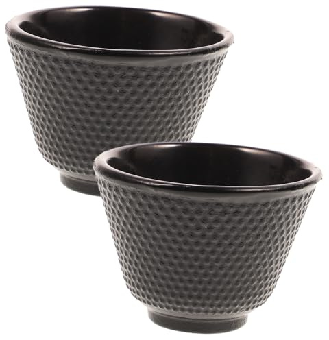 TOYANDONA Tasse à Thé En Fonte Rétro 2 Pièces Résistance Haute Température 180 Ml Service à Thé Kung Fu Maison