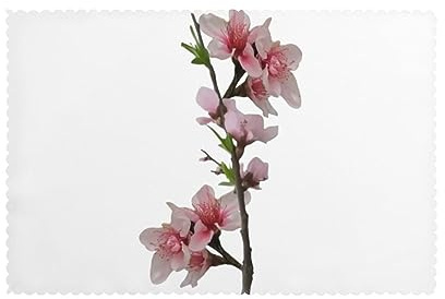Set di 6 tovagliette lavabili e resistenti al calore per tavolo da pranzo, in fibra di poliestere, 30,5 x 45,7 cm, fiori di pesco in fiore