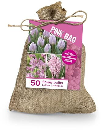 Bloomique - Mix di 50 - The Pink Bag - Mix rosa - Tulipani, Giacinti, Allium - Bulbi - Fioritura primaverile - Perenni