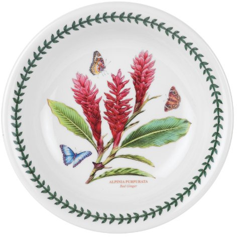 Portmeirion EG45740 Exotic Botanic Garden Pasta Bowl, Set with 6 Assorted Motifs, Ceramic, Multicolor