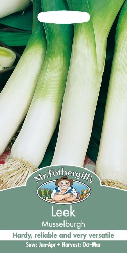 Mr Fothergills - Pictorial Packet - Vegetable - Leek Musselburgh - 500 Seed