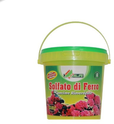 SOLFATO DI FERRO RINVERDENTE PER PIANTE E ANTIMUSCHIO IN CONF. DA 1 KG