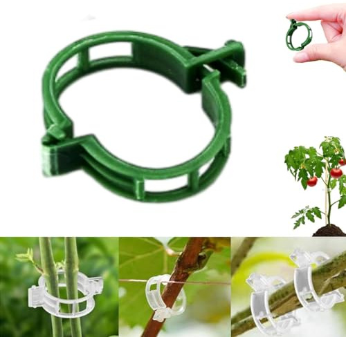 CLRZOL New Secured Plastic Plant Clip, Plant Support Clips Reusable Garden Clips, Tomato Grape Vine Vegetables Plant Fixing Clips, Plastic Trellis Clips Plant Support Clips (Green 200 PC)