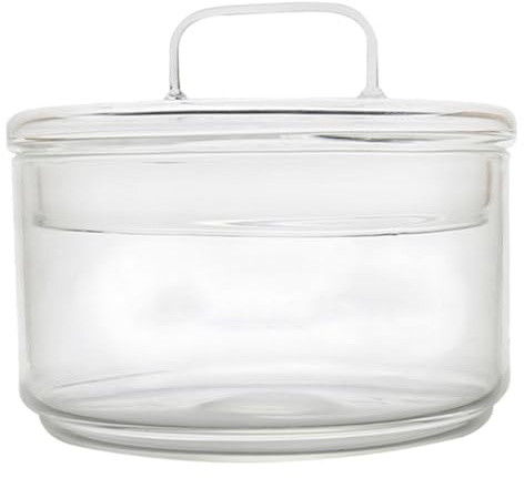VALICLUD Bol à Dessert en Verre avec Couvercle, Récipient Ménager