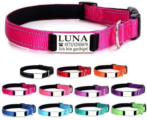 Ibera gifts - Hundehalsband Personalisiert, Hundehalsband Mit Namen Für Mittelgroße Hunde, 35-50 cm, Reflektierend (Fuchsia, M Mittelgroß)