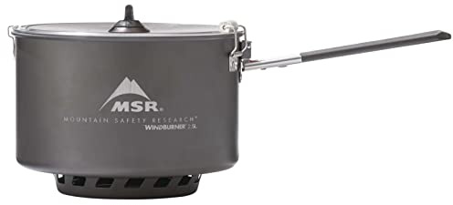 MSR WindBurner So?entopf Volumen 2,5 L Gray