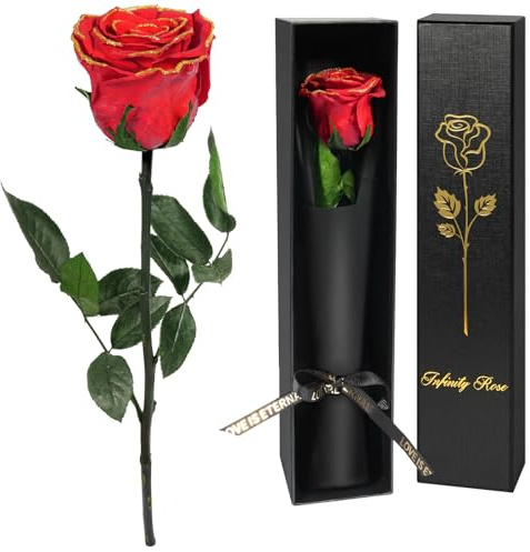 Yamonic Rosa Stabilizzata Regalo Donna,Rosa Eterna con Steli Regalo per Donne Compleanno,Idee Regali per Lei,Regali Mamma Natale San Valentino Festa della Mamma,Vera Rosa Rossa