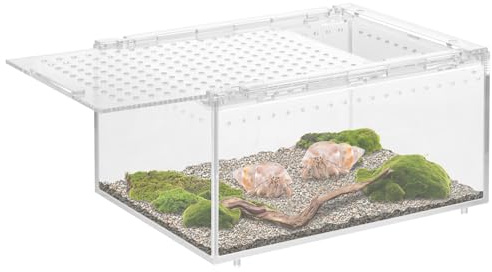 Reptilien Terrarium Box,360° Mini Transparente PC Transportbox ,Tragbarer Reptil Fütterungsbox,Magnetisches Insekten Futterbox,Aufzuchtbox für Spinnen,Skorpion,Käfer, Gehörnter Frosch Einsiedlerkrabbe