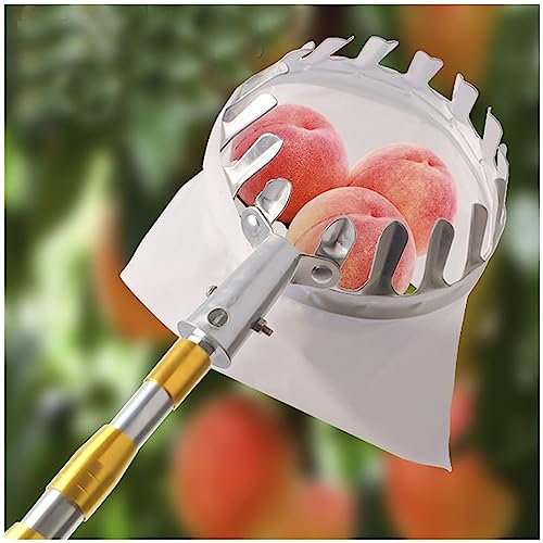 DXDRT Obstpflücker Teleskop,4M Obstsammler Apfelpflücker mit Leichter Edelstahl Teleskopstange,Obstfänger mit Stoffbeutel für die Apfel Birnen Zitronen Orangen Usw für Haus,Obstgarten,Garten,Gold