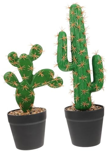 Healifty 2pezzi Cactus Finto Plastica Realistico Pianta Da in Vaso Cactus Artificiale Succulenta Finto Per Soggiorno Ufficio Libreria